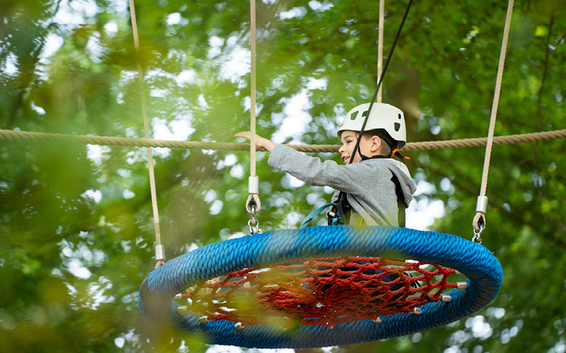 Round swing