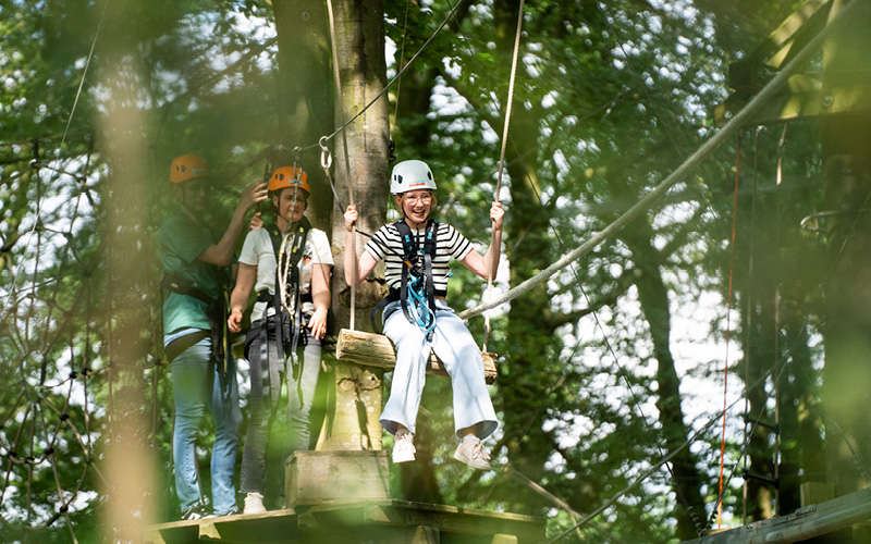Swing