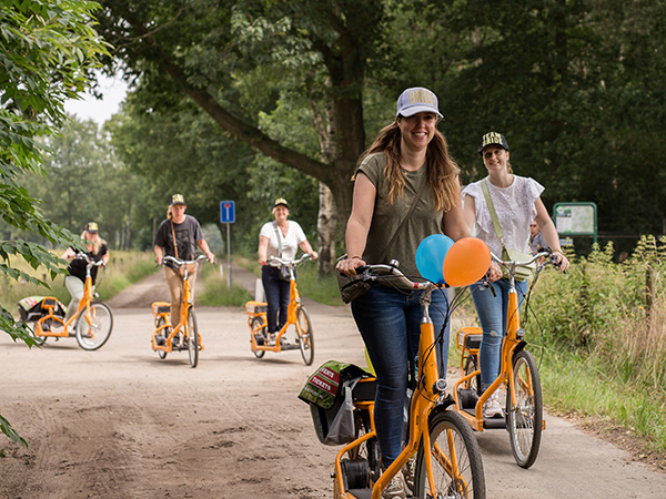 Klimbos Harderwijk valt onder Adventurepark Harderwijk